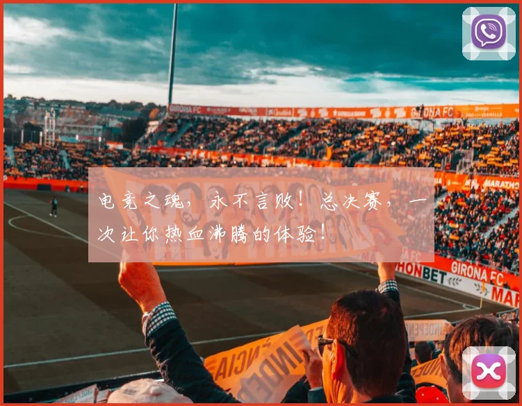 电竞之魂,永不言败!总决赛,一次让你热血沸腾的体验!