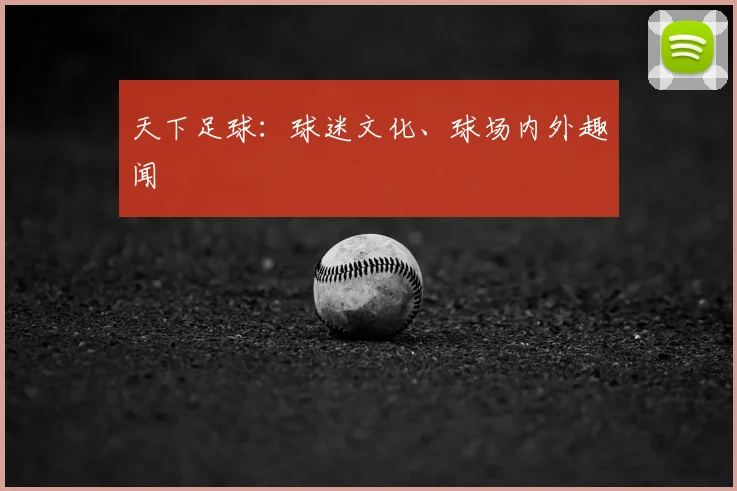 天下足球:球迷文化、球场内外趣闻